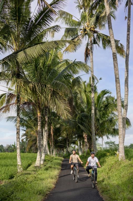 Ubud