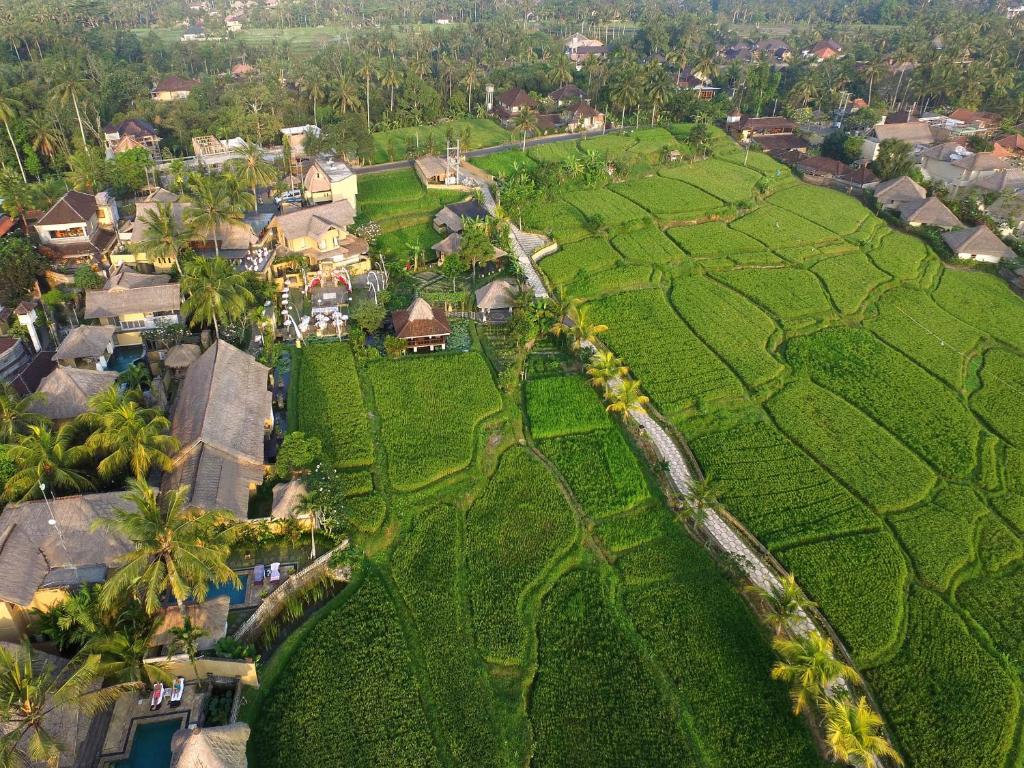 Ubud